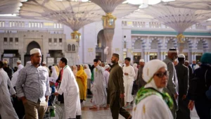 medine opensaudi
